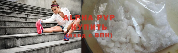 стаф Балахна
